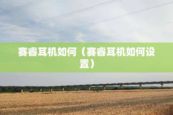 赛睿耳机如何（赛睿耳机如何设置）