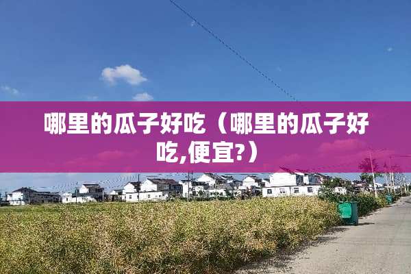 哪里的瓜子好吃（哪里的瓜子好吃,便宜?）