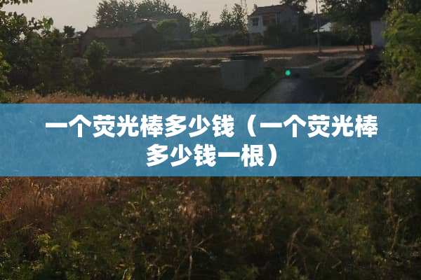 一个荧光棒多少钱（一个荧光棒多少钱一根）
