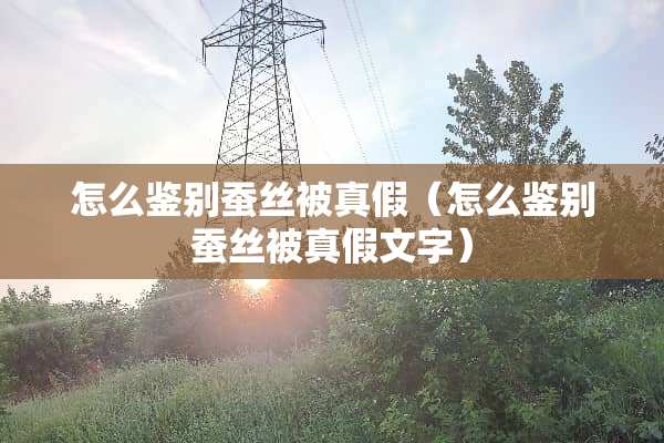 怎么鉴别蚕丝被真假（怎么鉴别蚕丝被真假文字）