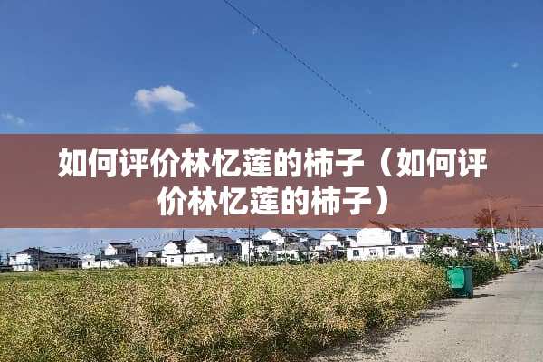 如何评价林忆莲的柿子（如何评价林忆莲的柿子）