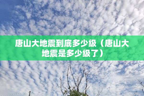 唐山大地震到底多少级（唐山大地震是多少级了）