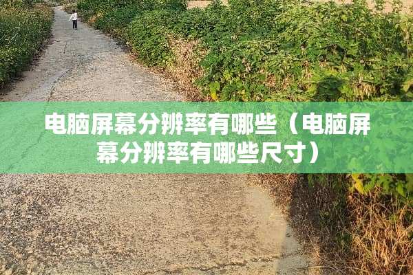 电脑屏幕分辨率有哪些（电脑屏幕分辨率有哪些尺寸）