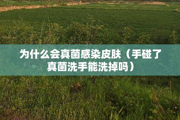 为什么会真菌感染皮肤（手碰了真菌洗手能洗掉吗）