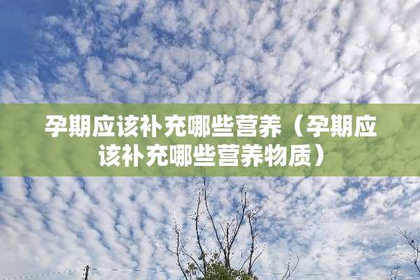 孕期应该补充哪些营养（孕期应该补充哪些营养物质）