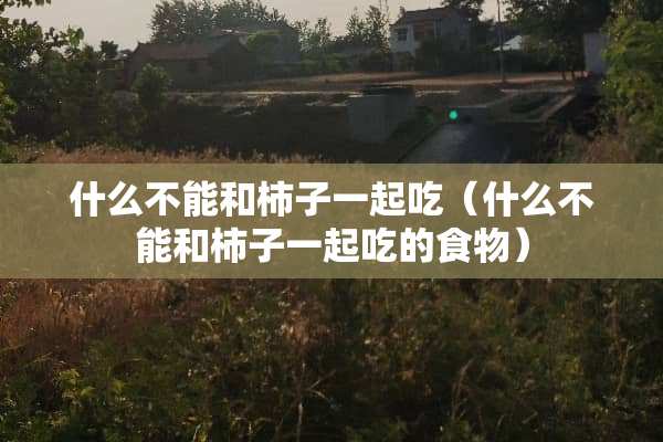 什么不能和柿子一起吃（什么不能和柿子一起吃的食物）