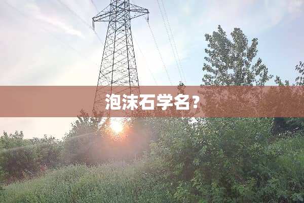 泡沫石学名？