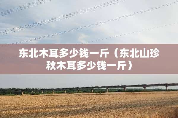 东北木耳多少钱一斤（东北山珍秋木耳多少钱一斤）