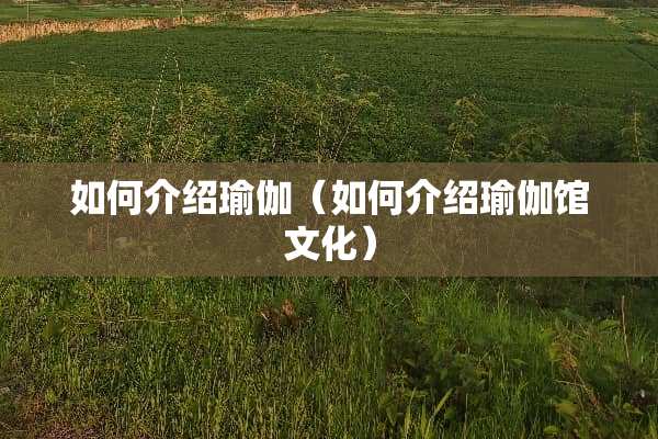 如何介绍瑜伽（如何介绍瑜伽馆文化）