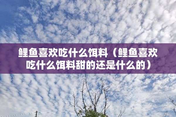 鲤鱼喜欢吃什么饵料（鲤鱼喜欢吃什么饵料甜的还是什么的）