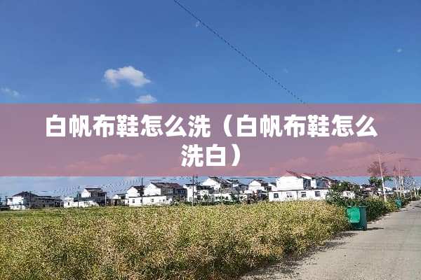 白帆布鞋怎么洗（白帆布鞋怎么洗白）