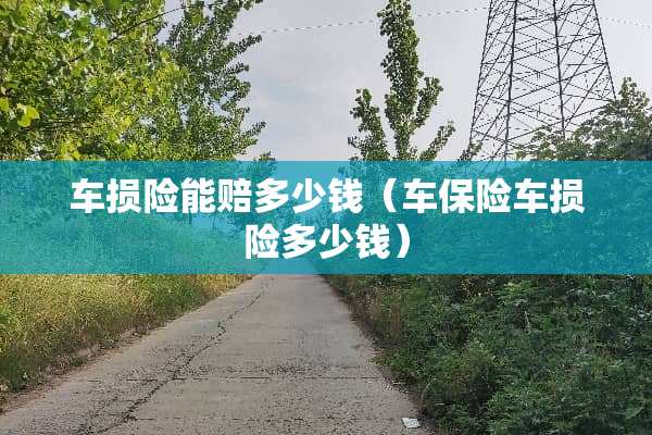 车损险能赔多少钱（车保险车损险多少钱）