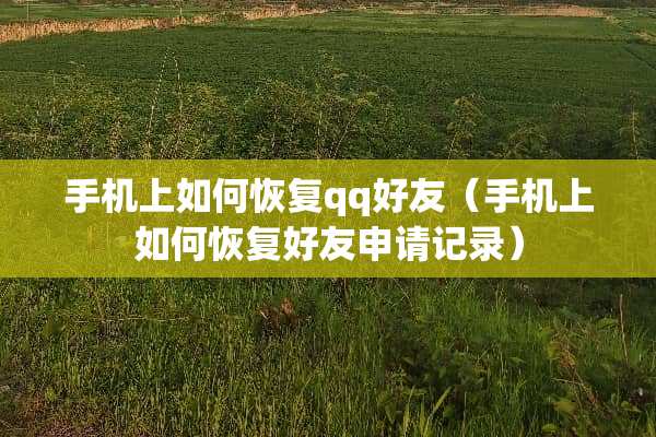 手机上如何恢复qq好友（手机上如何恢复好友申请记录）