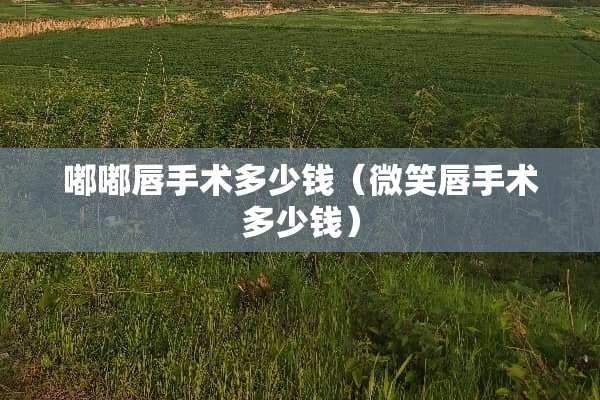 嘟嘟唇手术多少钱（微笑唇手术多少钱）