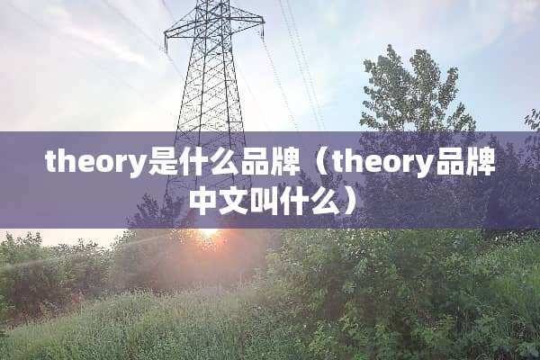 theory是什么品牌（theory品牌中文叫什么）
