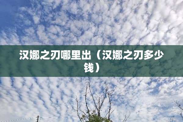汉娜之刃哪里出（汉娜之刃多少钱）