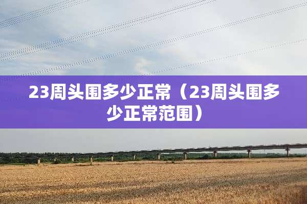 23周头围多少正常（23周头围多少正常范围）