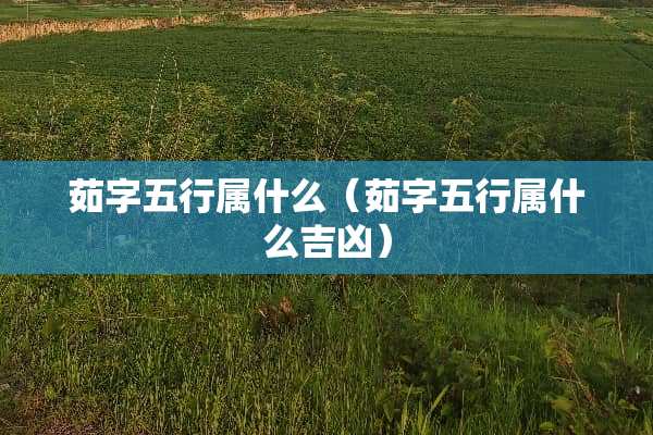 茹字五行属什么（茹字五行属什么吉凶）