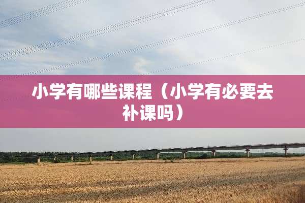 小学有哪些课程（小学有必要去补课吗）