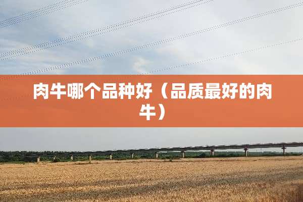 **哪个品种好（品质最好的**）