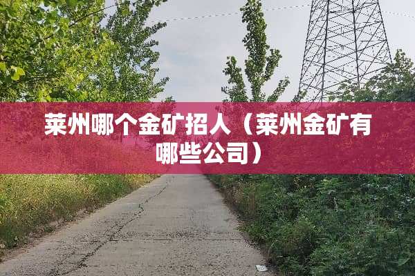 莱州哪个金矿招人（莱州金矿有哪些公司）