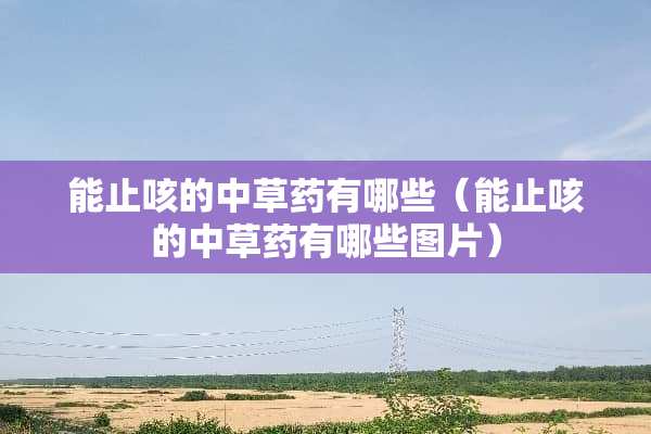 能止咳的中草药有哪些（能止咳的中草药有哪些图片）