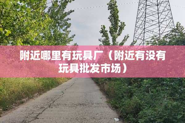 附近哪里有玩具厂（附近有没有玩具批发市场）