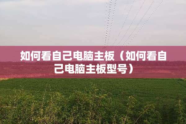 如何看自己电脑主板（如何看自己电脑主板型号）