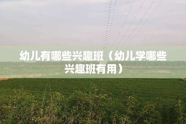 幼儿有哪些兴趣班（幼儿学哪些兴趣班有用）