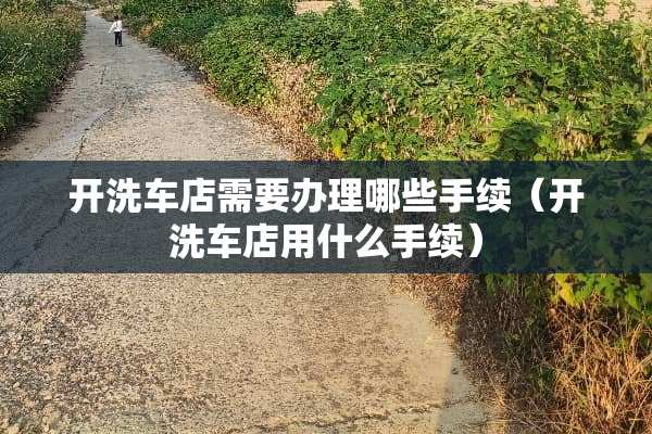 开洗车店需要办理哪些手续（开洗车店用什么手续）