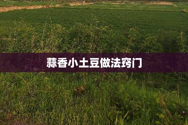 蒜香小土豆做法窍门
