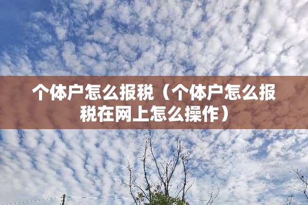 个体户怎么**（个体户怎么**在网上怎么操作）