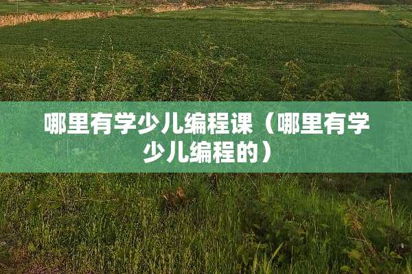哪里有学少儿编程课（哪里有学少儿编程的）