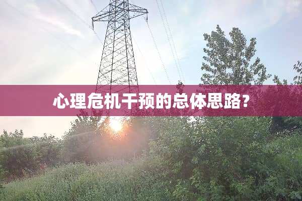 心理危机干预的总体思路？