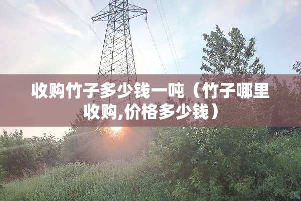 收购竹子多少钱一吨（竹子哪里收购,价格多少钱）