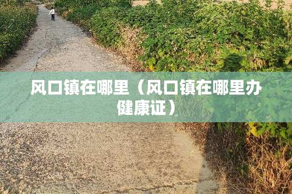 风口镇在哪里（风口镇在哪里办健康证）