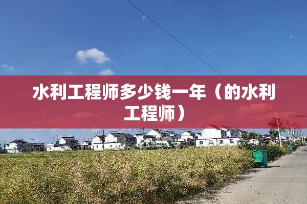 水利工程师多少钱一年（的水利工程师）