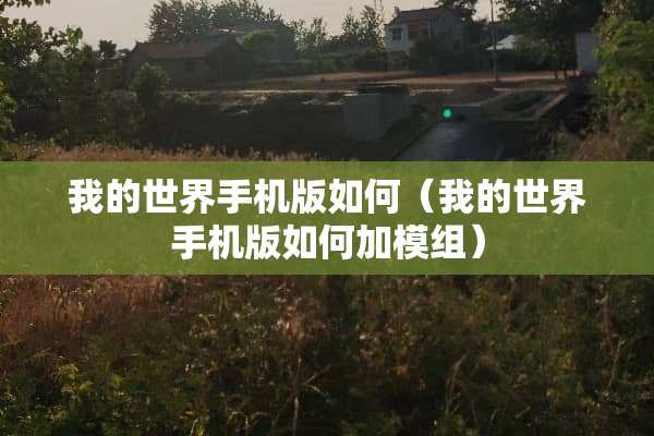 我的世界手机版如何（我的世界手机版如何加模组）