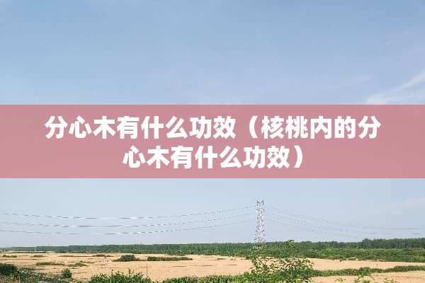 分心木有什么功效（核桃内的分心木有什么功效）