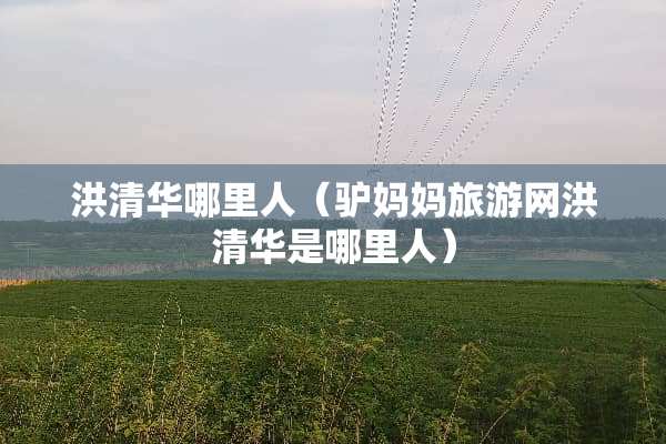 洪清华哪里人（驴妈妈旅游网洪清华是哪里人）