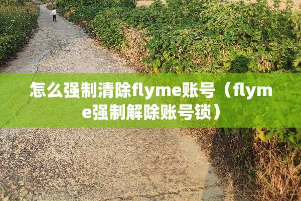 怎么强制清除flyme账号（flyme强制解除账号锁）