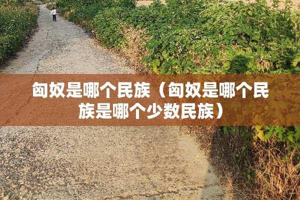 匈*是哪个民族（匈*是哪个民族是哪个少数民族）