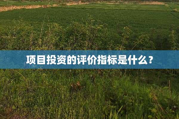 项目投资的评价指标是什么？