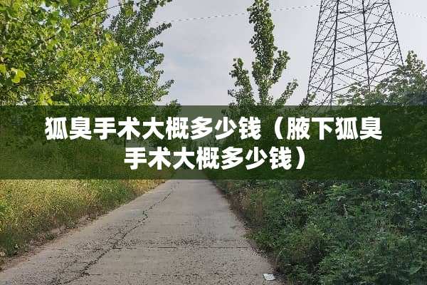 狐臭手术大概多少钱（腋下狐臭手术大概多少钱）