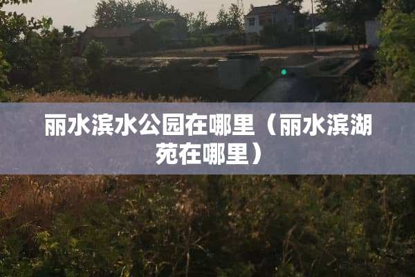 丽水滨水公园在哪里（丽水滨湖苑在哪里）