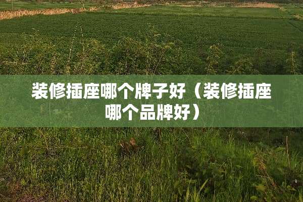 装修插座哪个牌子好（装修插座哪个品牌好）