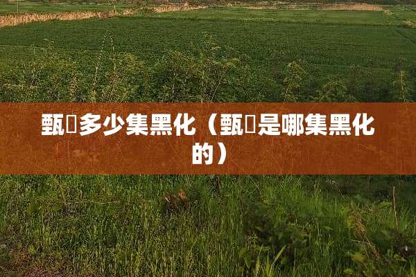 甄嬛多少集黑化（甄嬛是哪集黑化的）