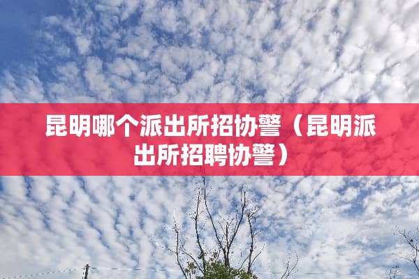昆明哪个派出所招协警（昆明派出所招聘协警）