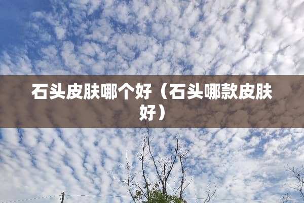 石头皮肤哪个好（石头哪款皮肤好）