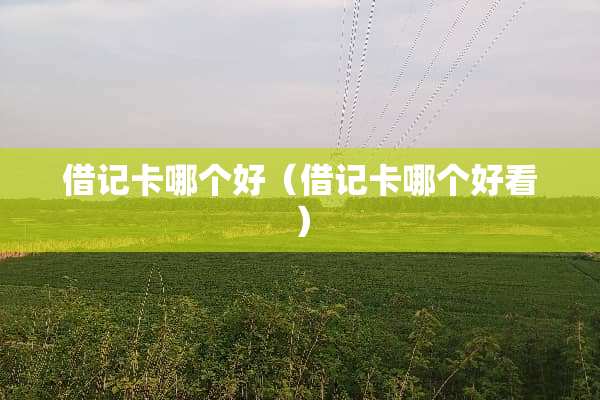 ***哪个好（***哪个好看）